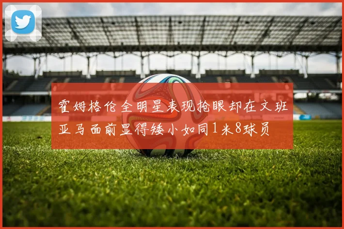 霍姆格伦全明星表现抢眼却在文班亚马面前显得矮小如同1米8球员