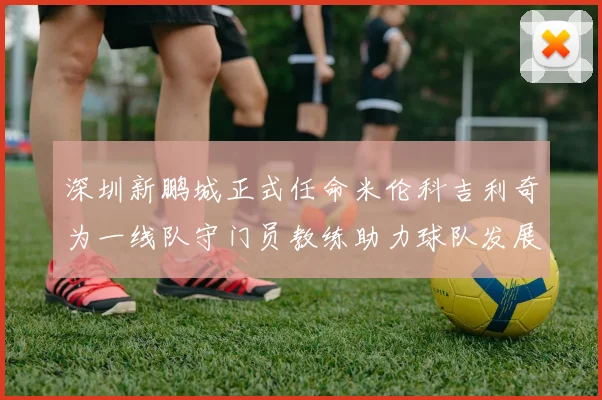 深圳新鹏城正式任命米伦科吉利奇为一线队守门员教练助力球队发展