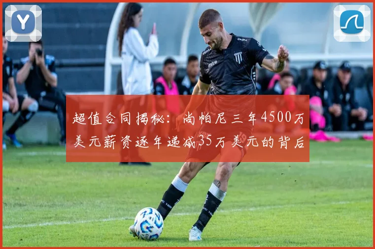 超值合同揭秘：尚帕尼三年4500万美元薪资逐年递减35万美元的背后故事